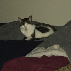 Meet your Posher, Braeden